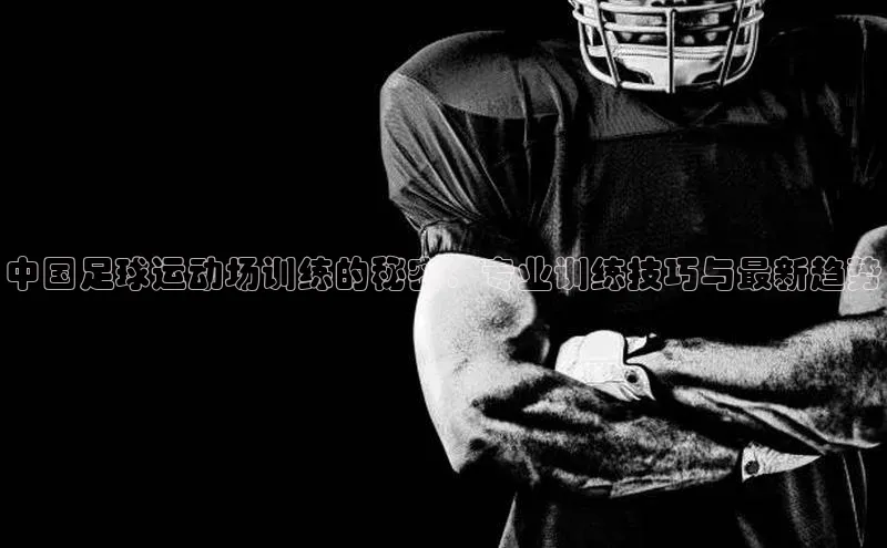 乐虎页版登录入口同程中国足球运动场训练的秘密：专业训练技巧与最新趋势