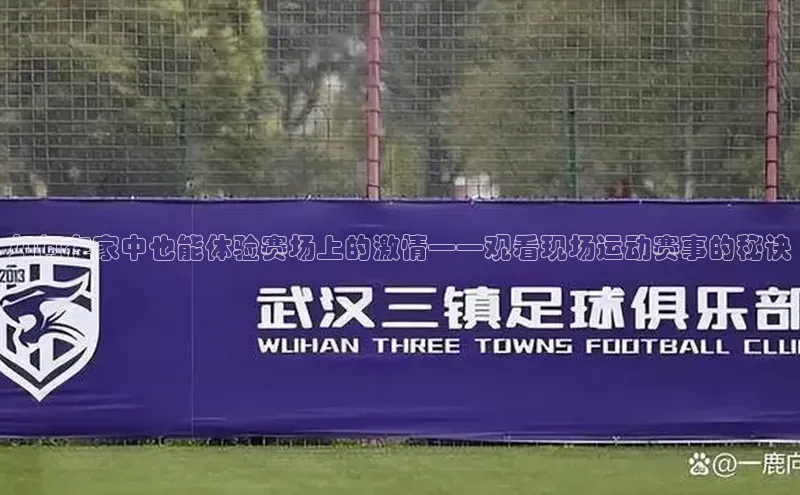 如何在家中也能体验赛场上的激情——观看现场运动赛事的秘诀