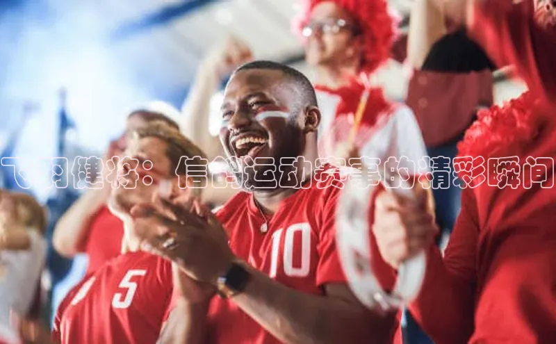 飞羽健将：信鸽运动赛事的精彩瞬间