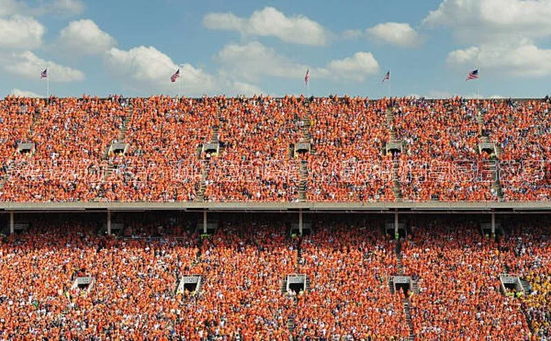 赛事现场直击：顶级运动赛事的精彩瞬间与幕后故事