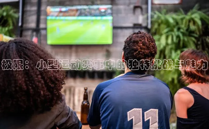 极限：小型运动赛事中的独特挑战与魅力