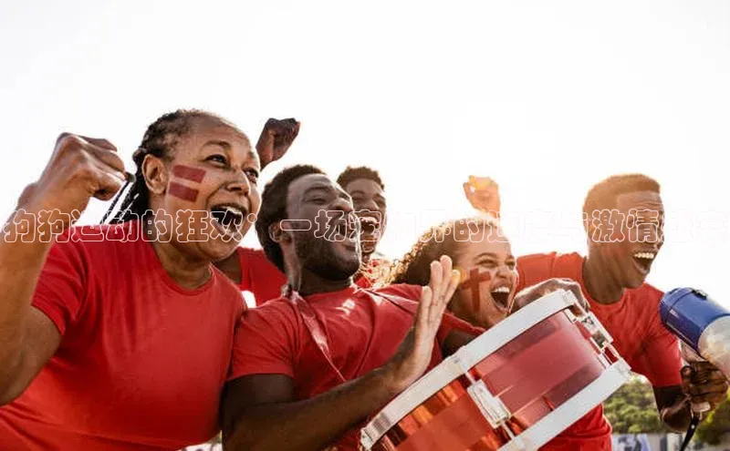 狗狗运动的狂欢：一场宠物界的速度与激情盛宴