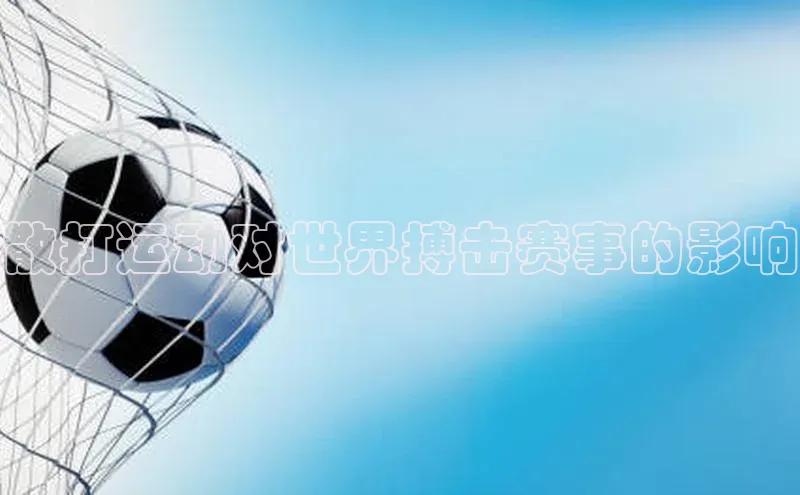 散打运动对世界搏击赛事的影响