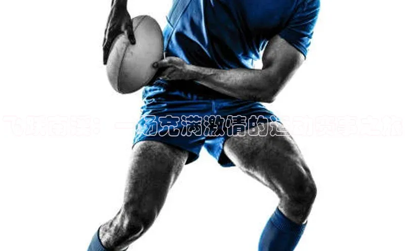 飞跃南溪：一场充满激情的运动赛事之旅