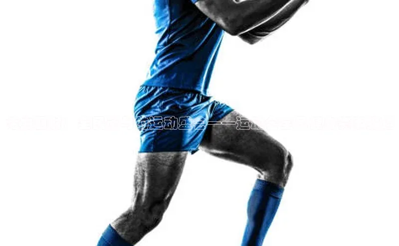 活力四射：全民参与的运动盛会——运动会全民健身赛事报道