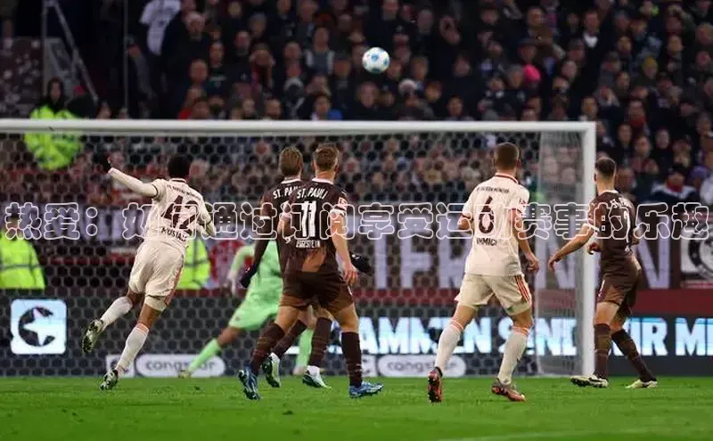 热爱：如何通过订阅享受运动赛事的乐趣