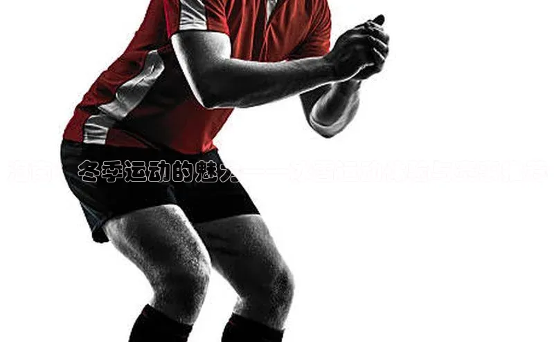 海南：冬季运动的魅力——冰雪运动体验与赛事推荐