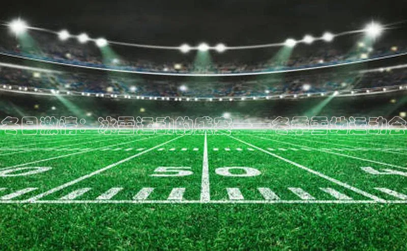 冬日激情：冰雪运动的盛宴——冬季雪地运动会