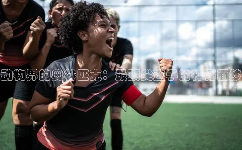 LEHU-乐虎-(国际)游戏官方网站