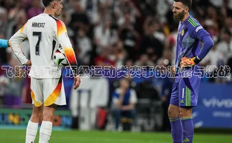 乐虎官方国际入口