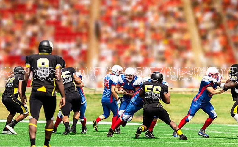 乐虎(唯一)官网