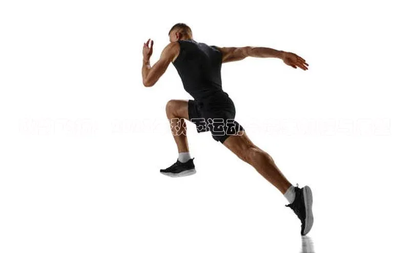 乐虎唯一官方网站入口