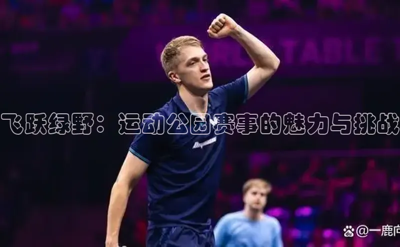 飞跃绿野：运动公园赛事的魅力与挑战