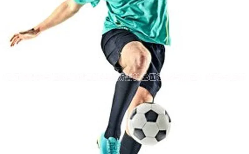 如何获得参与国际组织运动赛事所需的全面资质与认证：策略与指南